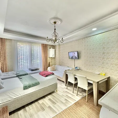 Sultanahmet Life Appart hôtel *